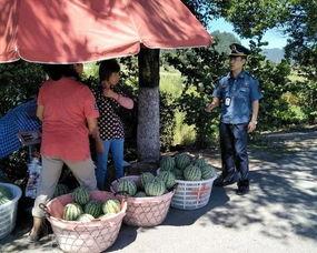 定州西坂吃瓜群众,吃瓜群众的欢乐盛宴