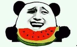 吃瓜群众连麦大头鹰,揭秘网络直播的趣味瞬间