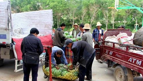 河津市吃瓜群众,吃瓜群众热议，民生话题引关注